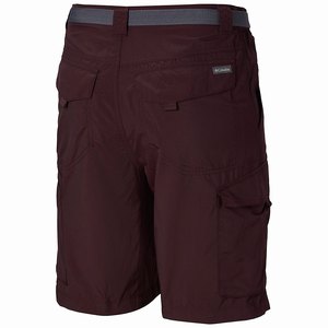 Columbia Silver Ridge™ Cargo Short Herr Röda (ONGCR0397)